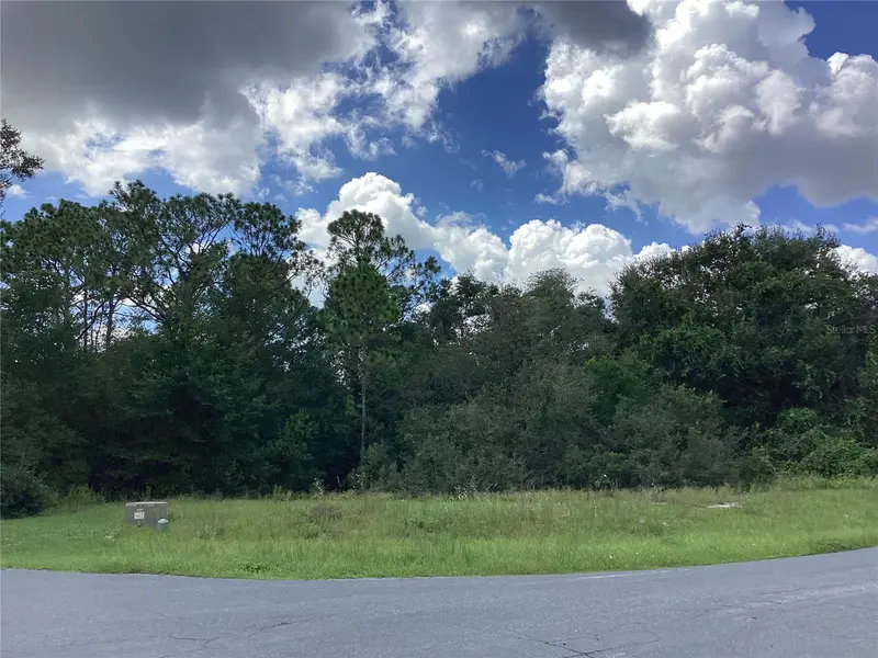 0 Hickory Ridge Dr, FL