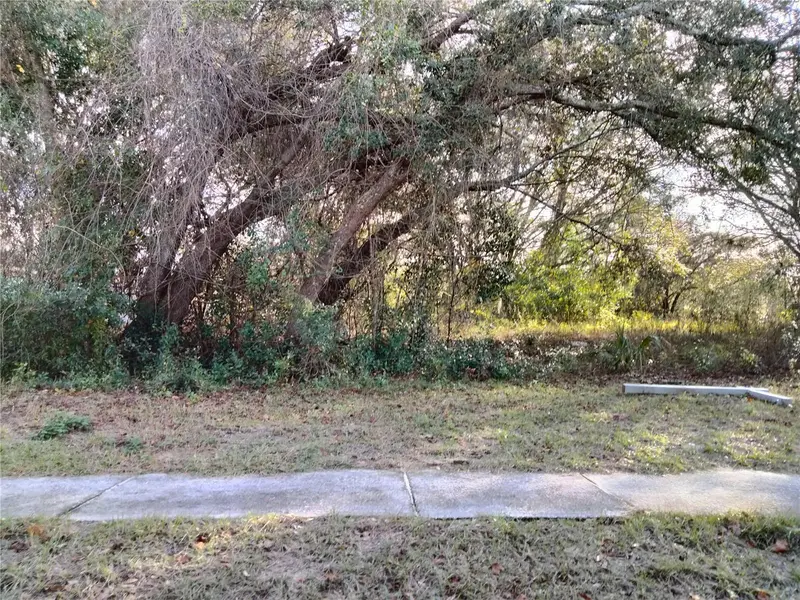 Sheeler Oaks Dr, FL