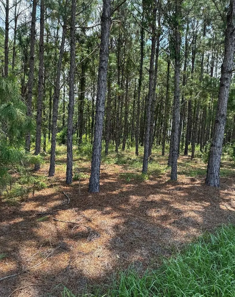 Cr 227 Rd, FL
