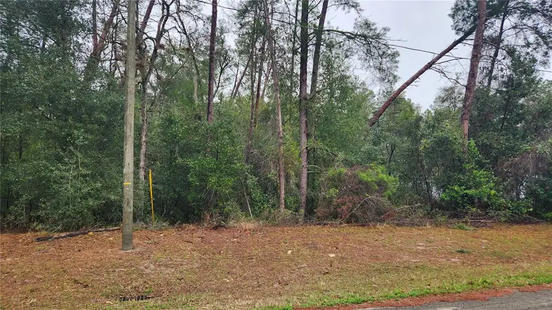 Locust Course Radl, FL