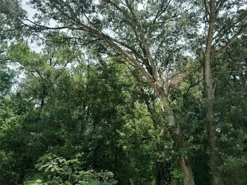 Se 108th Ter, FL