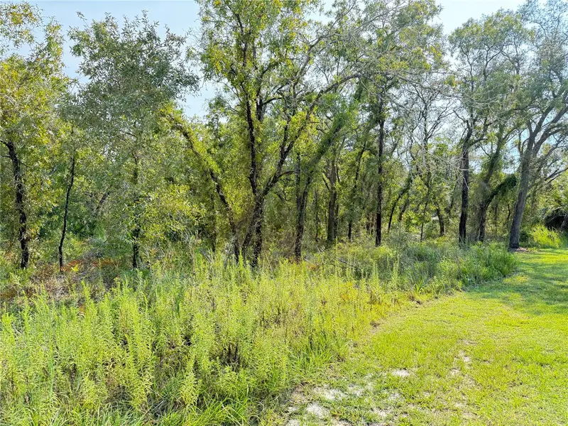 11096 Marsh Wren Ave, FL