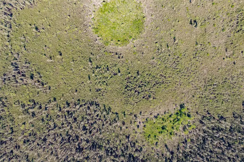 Unassigned, FL