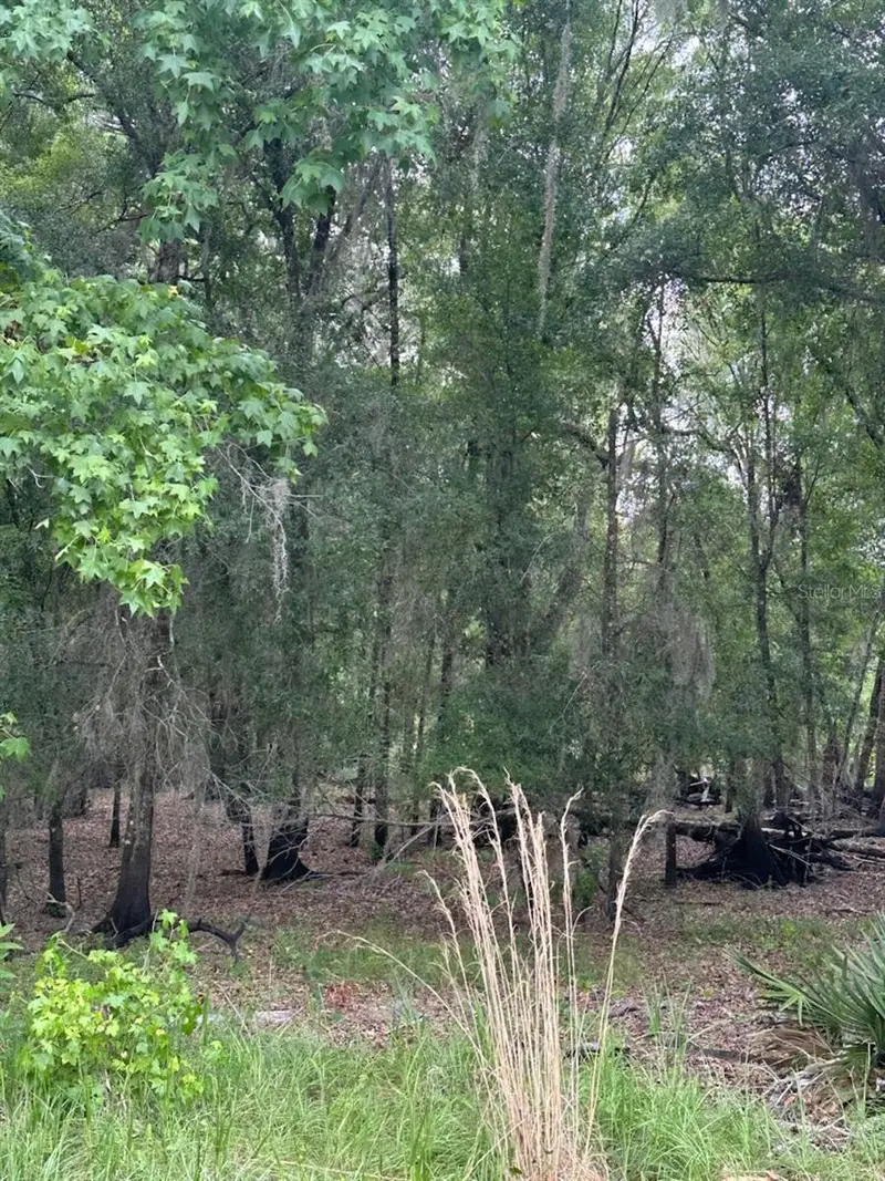 0 Palamino Lake Dr, FL