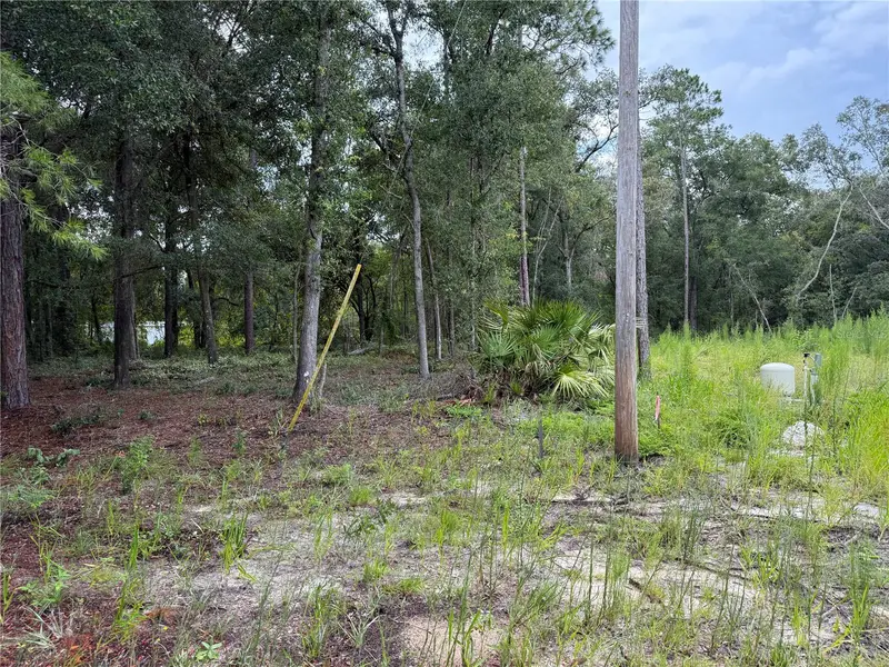 106 Jackson Ave, FL