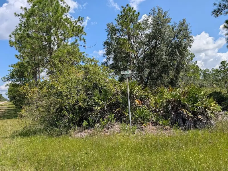 1113 Tropicana Dr, FL