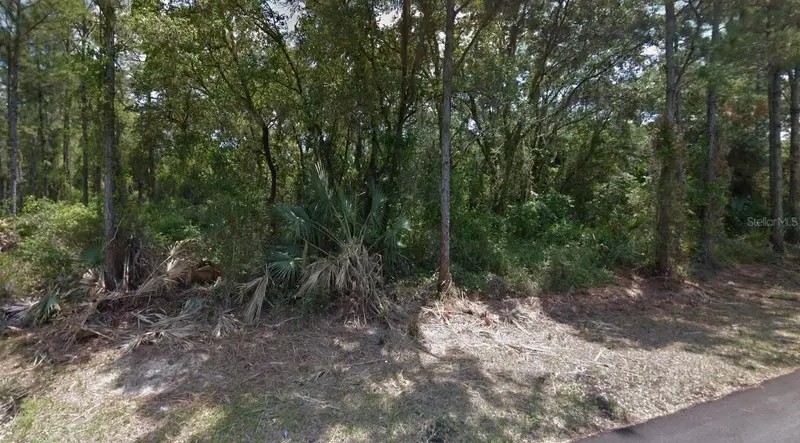 Lot 35 Dorie St, FL
