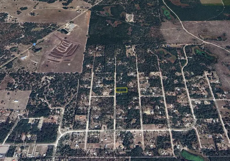 Seagrass Drive, FL