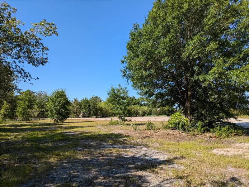 Cord Ave, FL