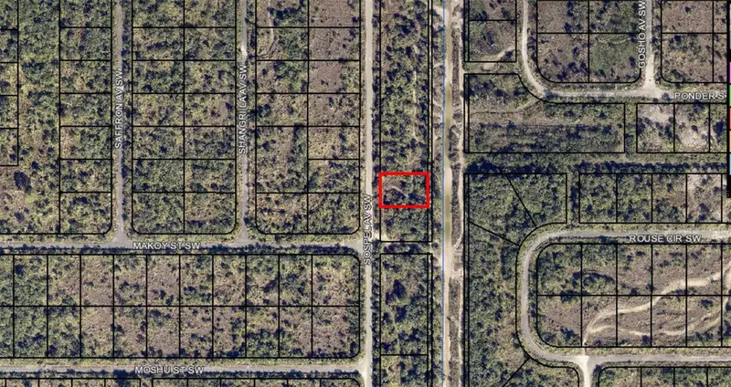 3273 Sospel Ave Sw, FL