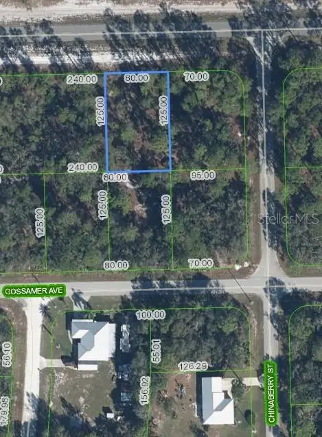 3226 Lake June Blvd, FL