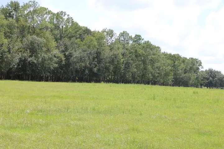 Green Swamp Road, FL