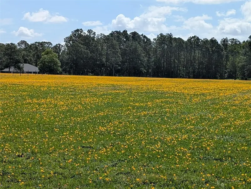 Green Swamp Rd, FL