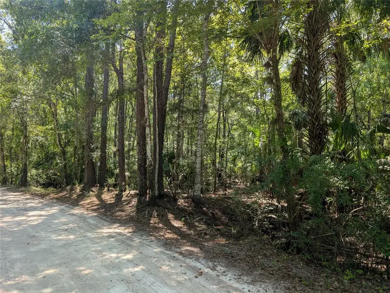 6252 E River Rd, FL