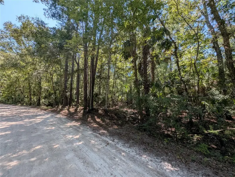 6252 E River Rd, FL