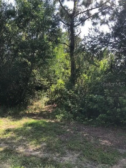 13358 Cappy Ter, FL