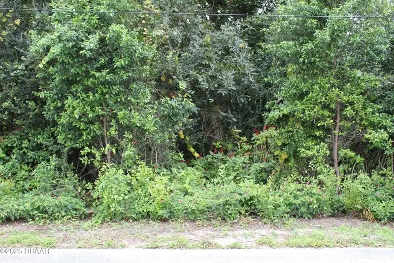 510 Fred Gamble Way, FL