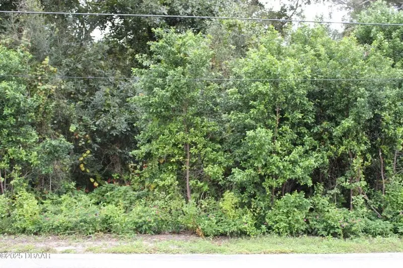 510 Fred Gamble Way, FL