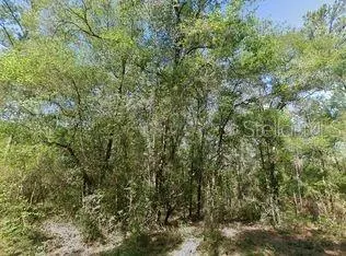 491 E Nemo Dr, FL