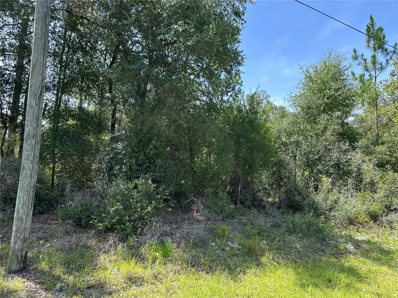 1498 E Carson Rd, FL