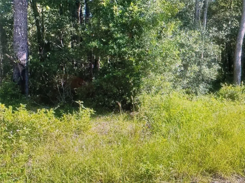 Tbd St Benedict Drive Lot 113 Dr, FL