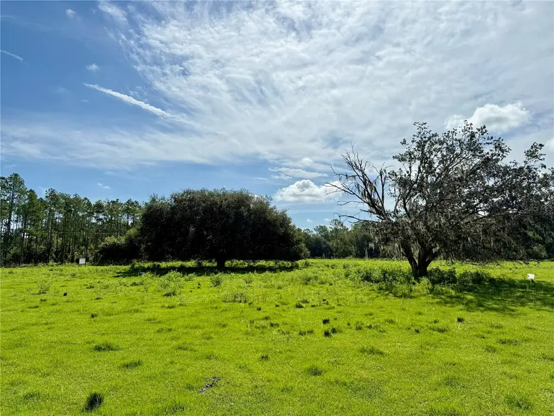 10460 Ehren Cutoff, FL