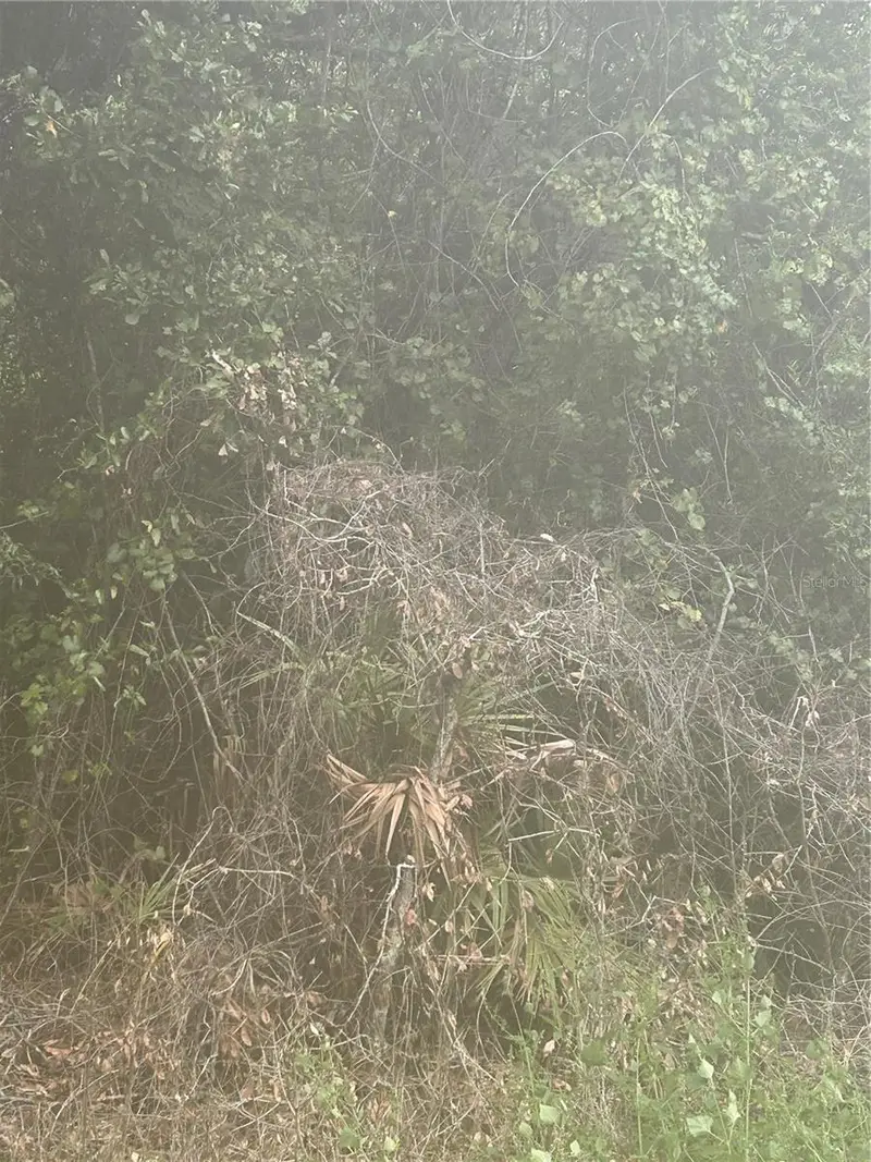 Se 105 Pl, FL