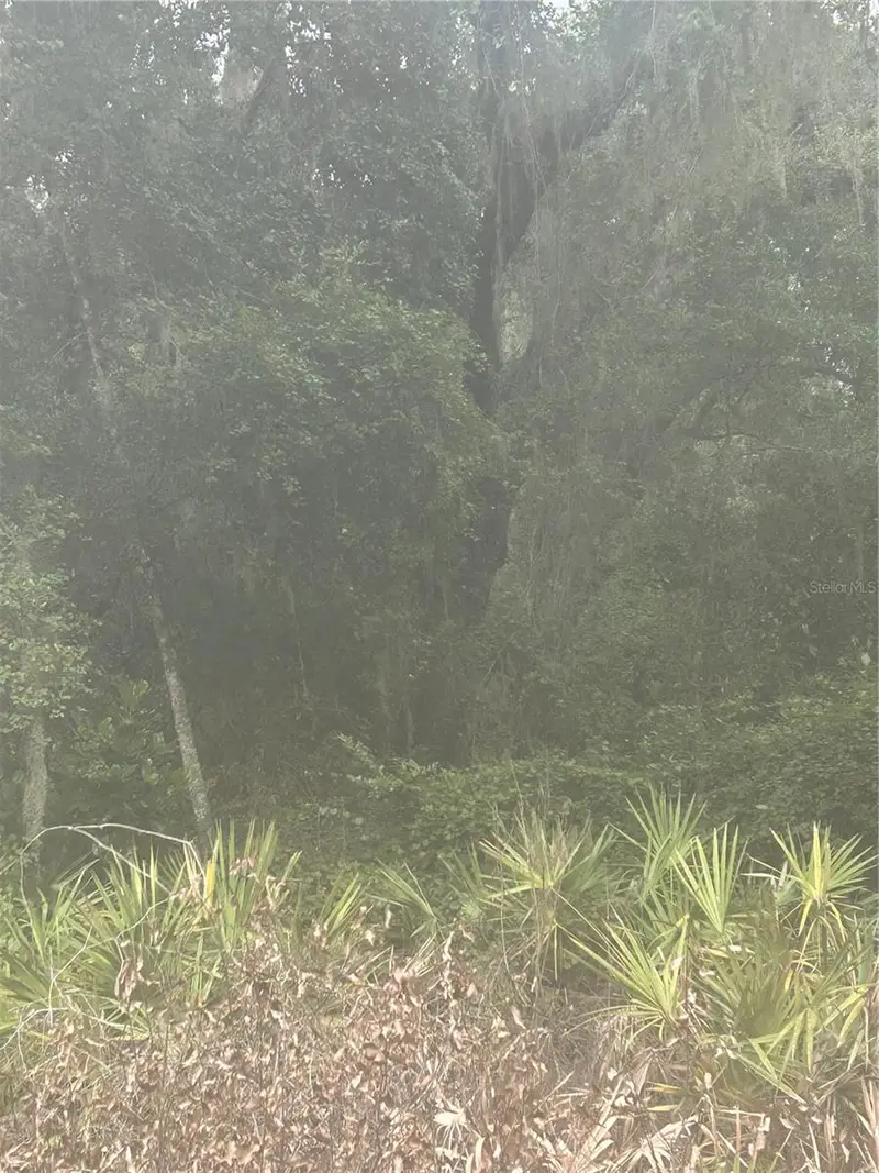 Se 105 Pl, FL