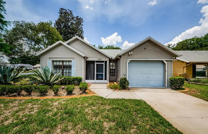 11805 Loblolly Pine Dr, FL