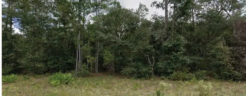 110 W Hillsborough Ave, FL