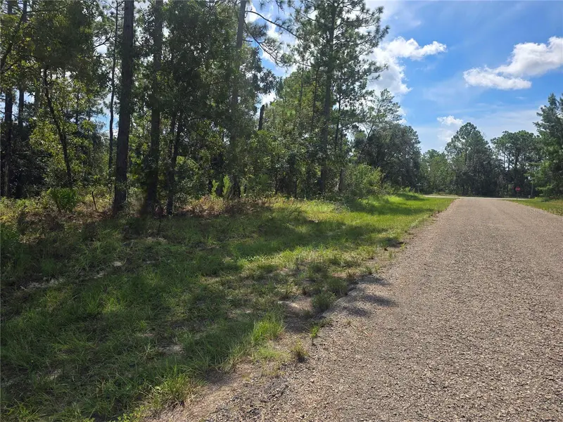 7441 N June Ter, FL