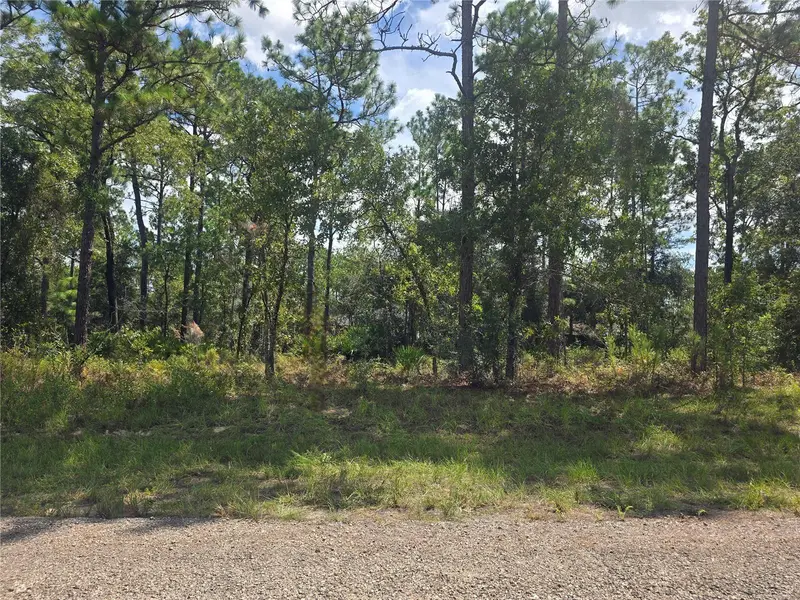 7441 N June Ter, FL