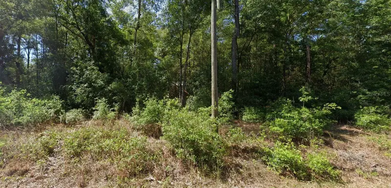 00 Sw Starling Dr, FL