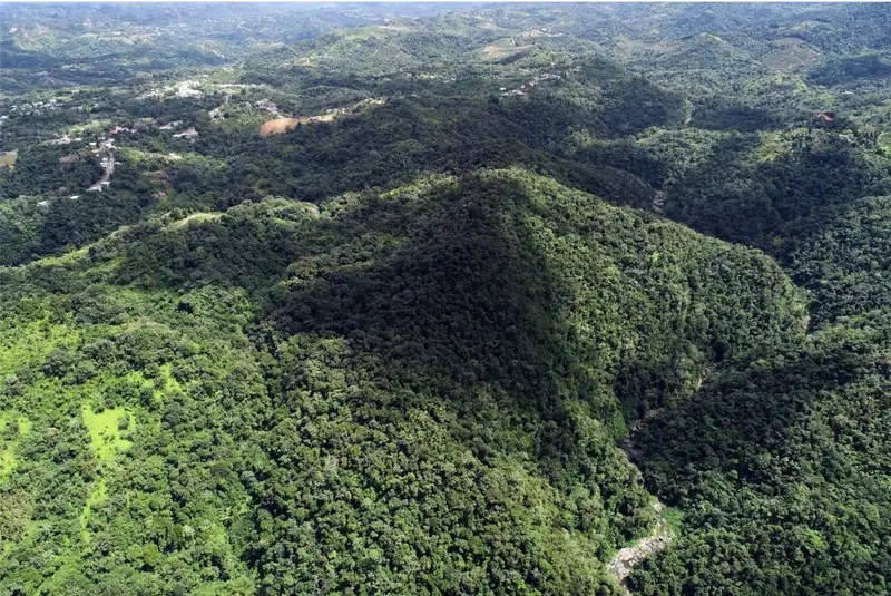 Carr.140 Bo Mameyes Abajo, PR