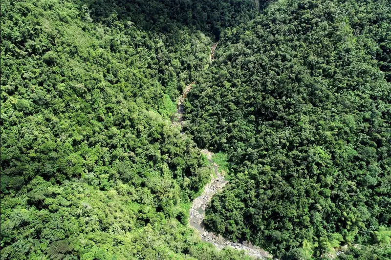 Carr.140 Bo Mameyes Abajo, PR