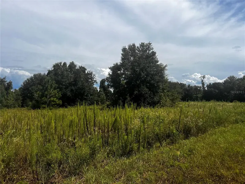 Sugarloaf Mountain Rd, FL