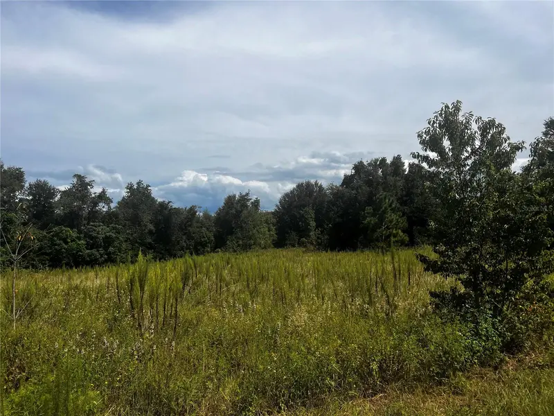 Sugarloaf Mountain Rd, FL