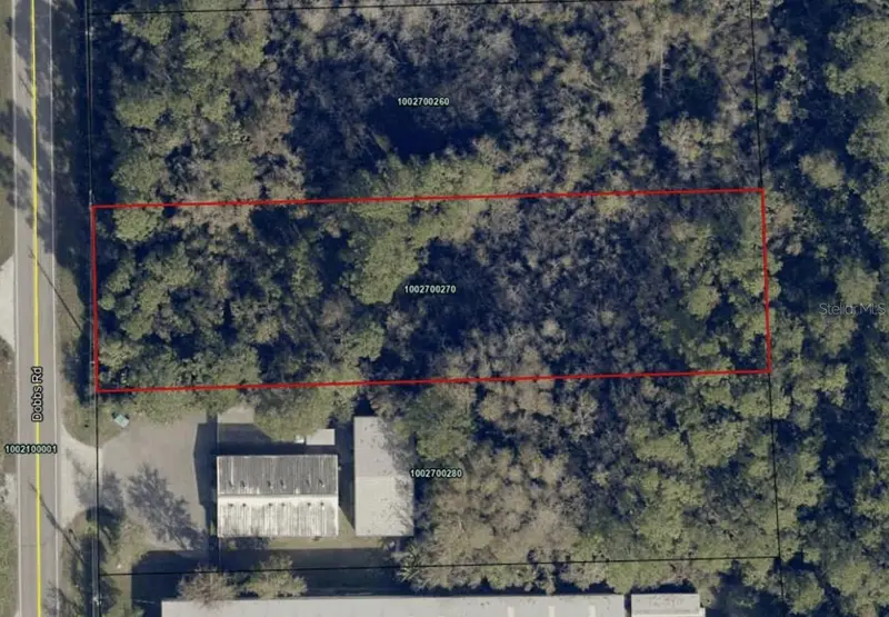 Dobbs Rd, FL
