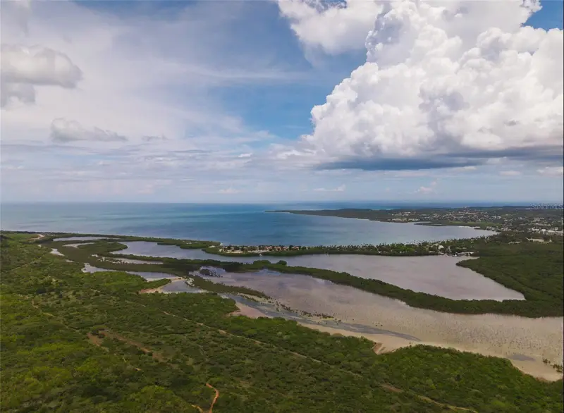 Carr 301 Km 3.2 Montelcarlo State, PR