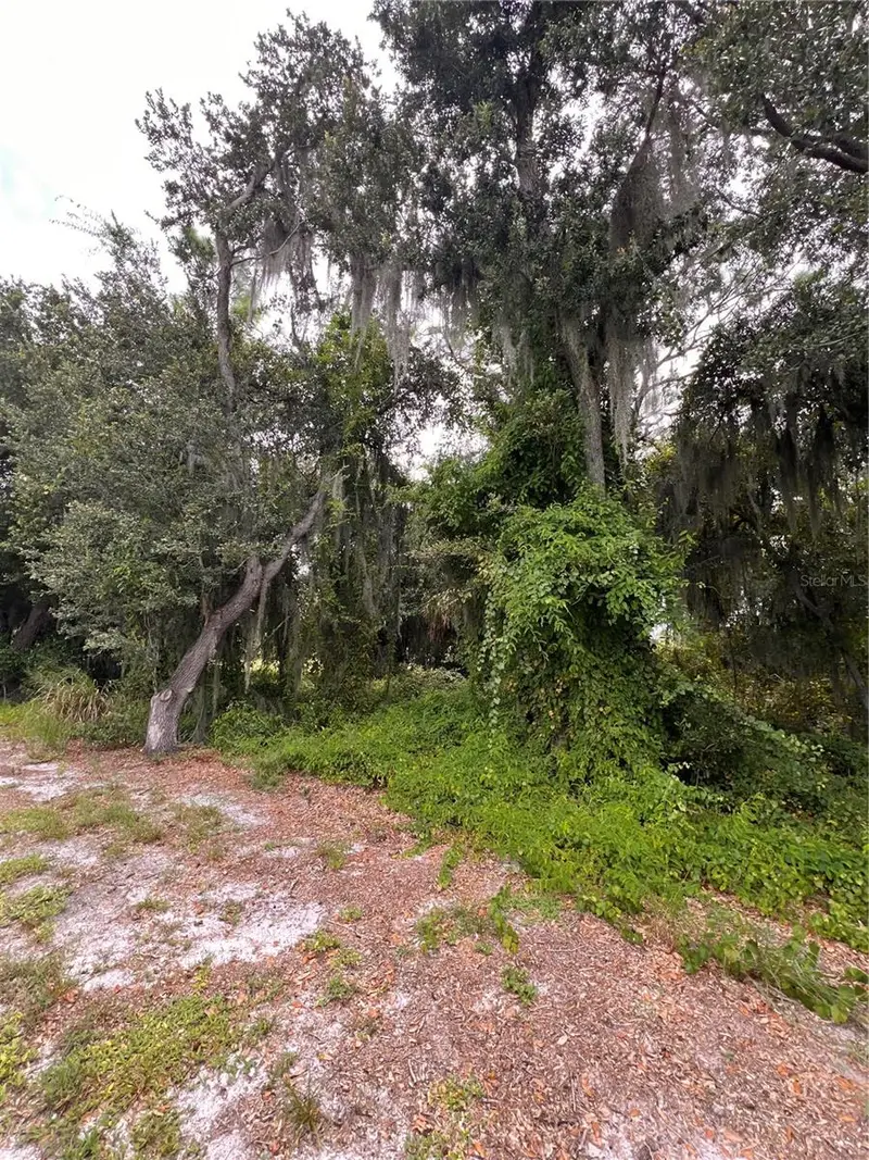 324 Cinema Dr, FL