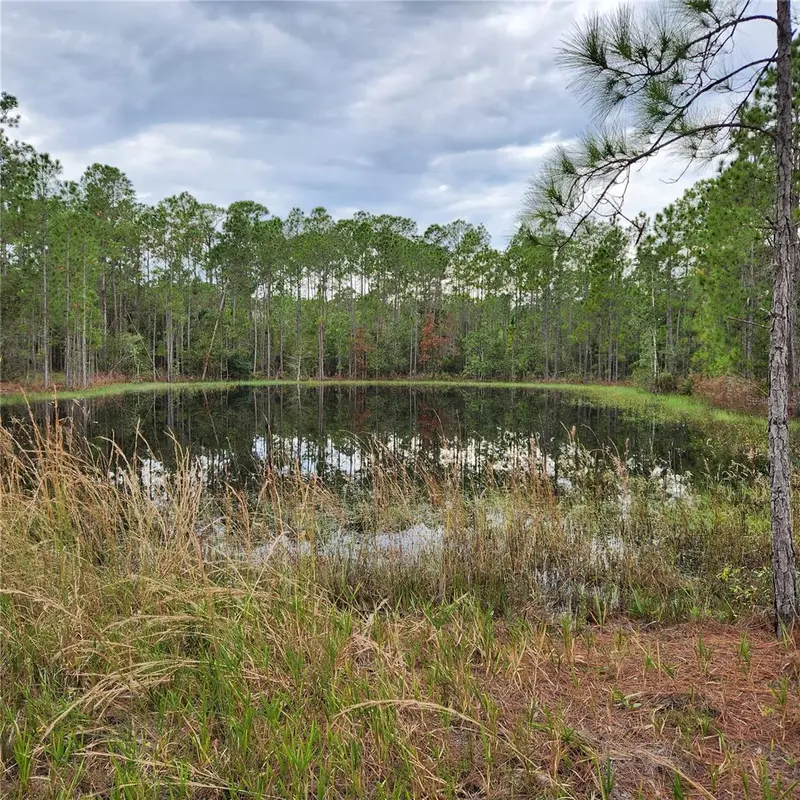 Lot 2 South Shore Dr, FL