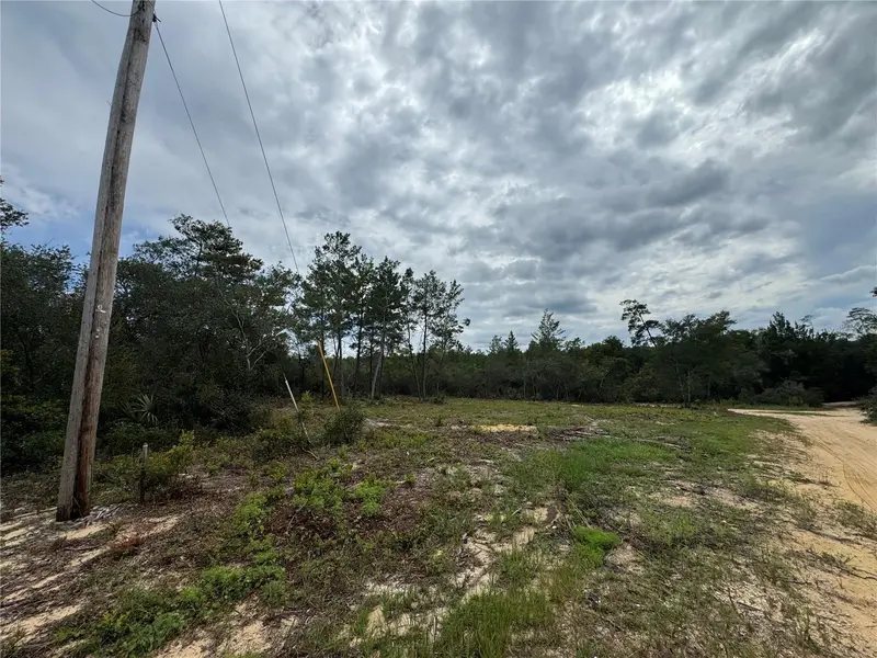 Ne 135th St, FL