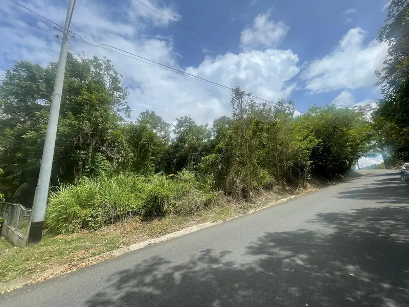 Bo. Arenas Carr Pr-734 Km 6.3, PR