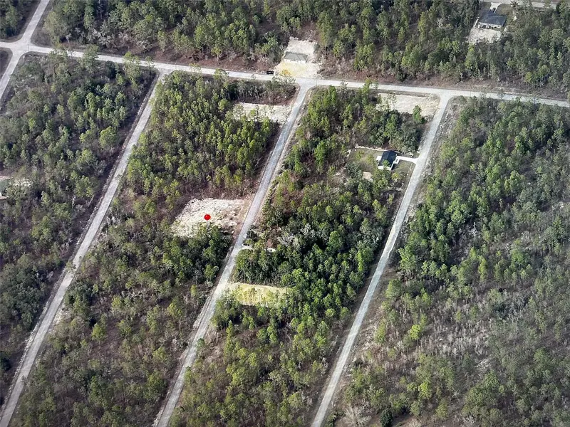 Narcissus, FL
