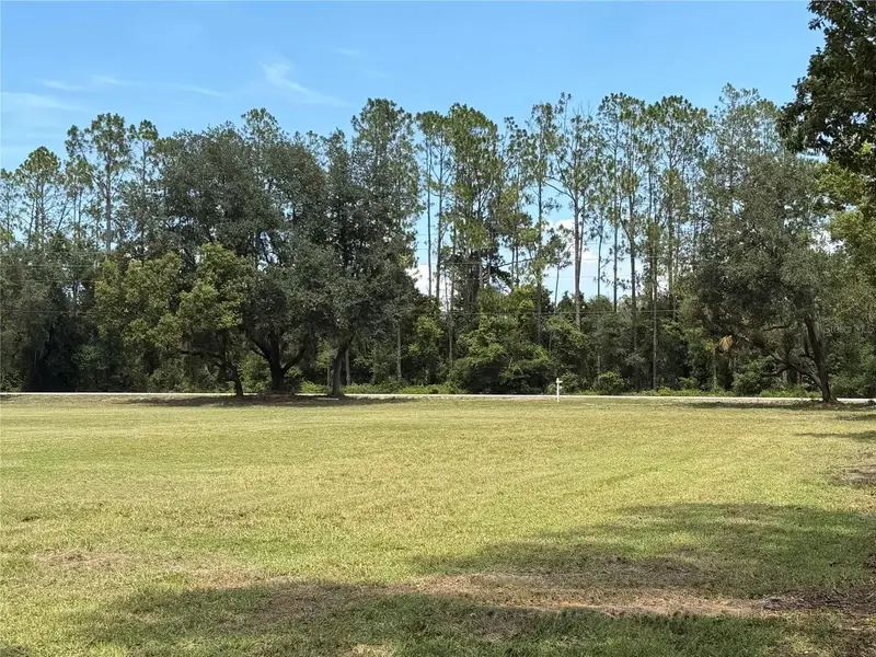 Bellamy Brothers Blvd, FL