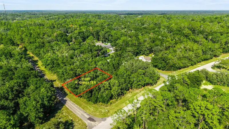 11023 N Glenda Ter, FL