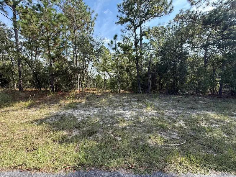 9339 N Milam Way, FL