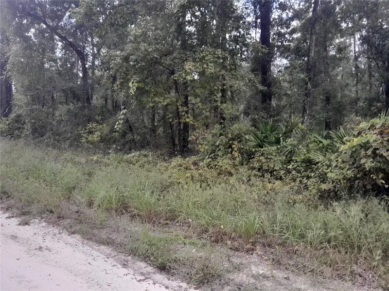 Tbd Ne 292nd Ave, FL