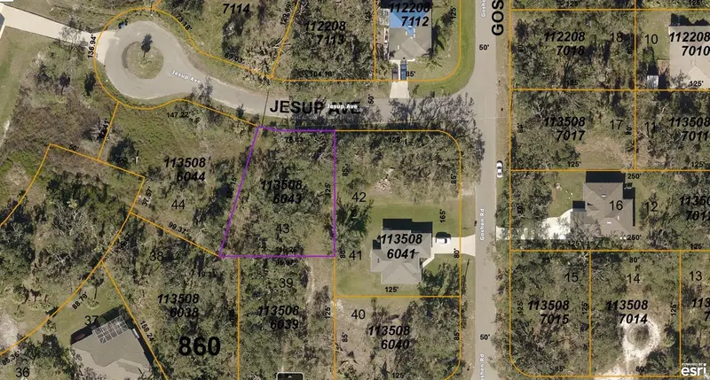 1135086043 Jesup Ave, FL