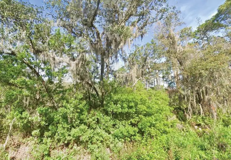 119 Temple Ave, FL